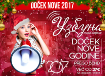 Docek Nove godine