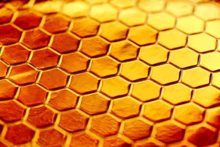 Prikaz saće od meda