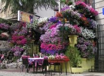 Restoran Šešir Moj doček Nove godine 2024 Beograd