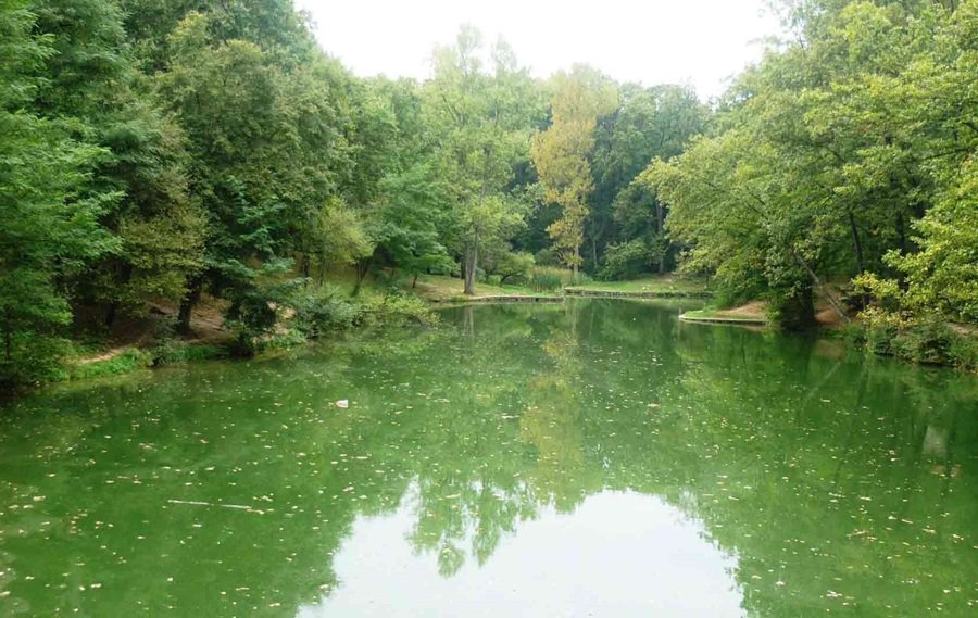 Trešnja, jezero, šuma, izletište nadomak Avale